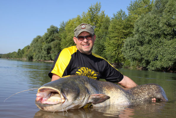 Welsangeln in Deutschland mit Welsguide Peter Merkel auf den Rhein und Neckar