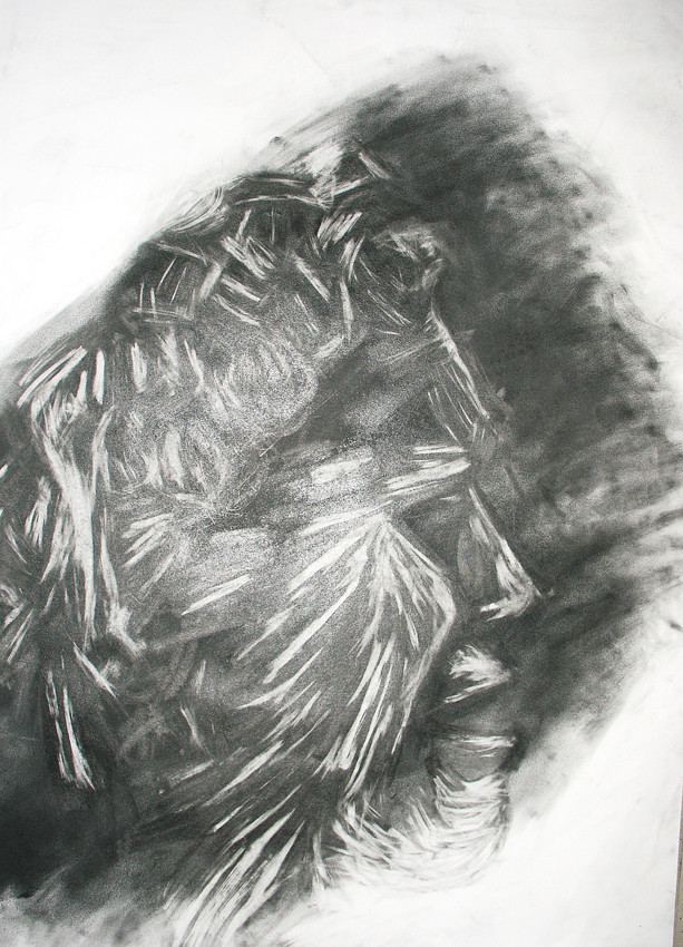 "Sculpture IV", Charcoal on paper, 2006