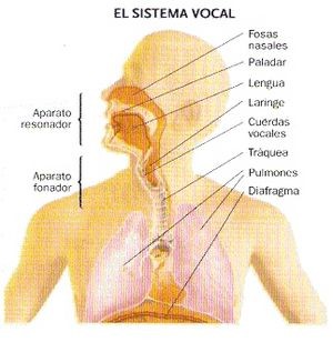 El Sistema Vocal