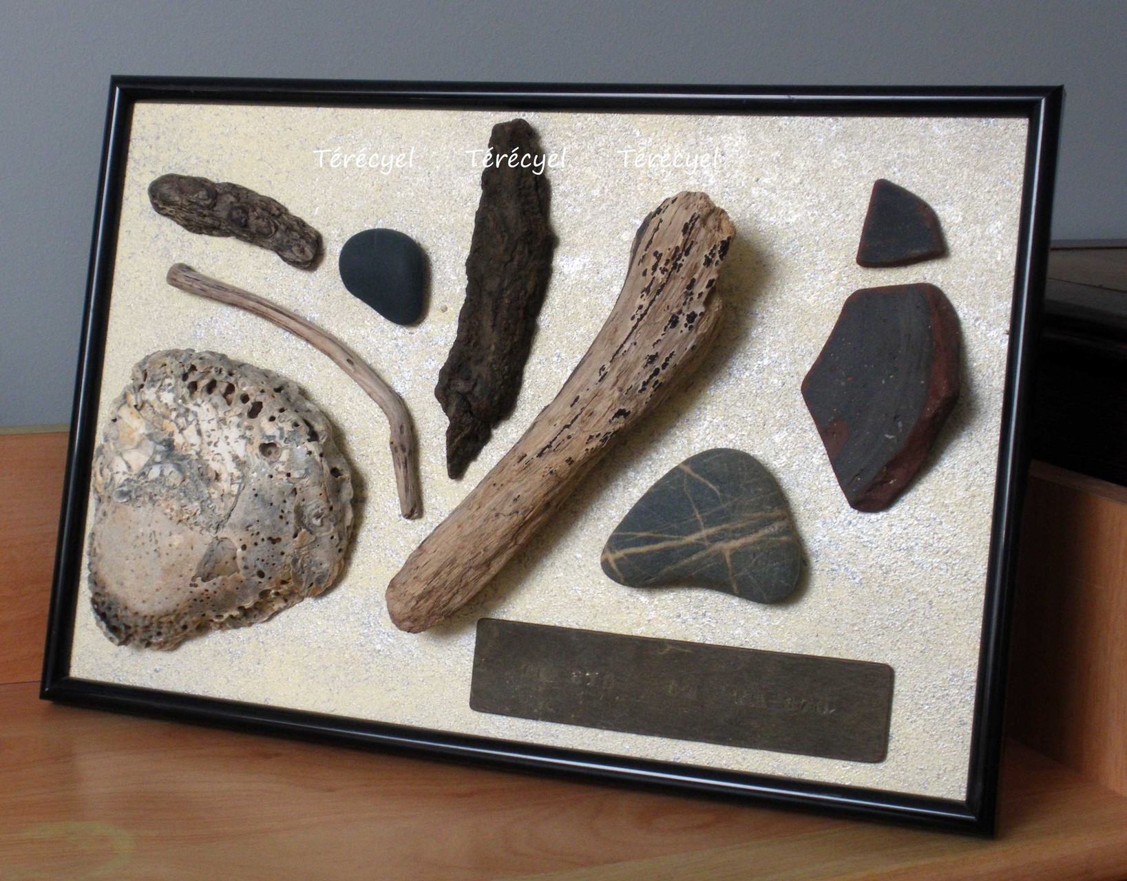 3.Bois flotté, galet, huître fossilisée, terre cuite, plaque de métal