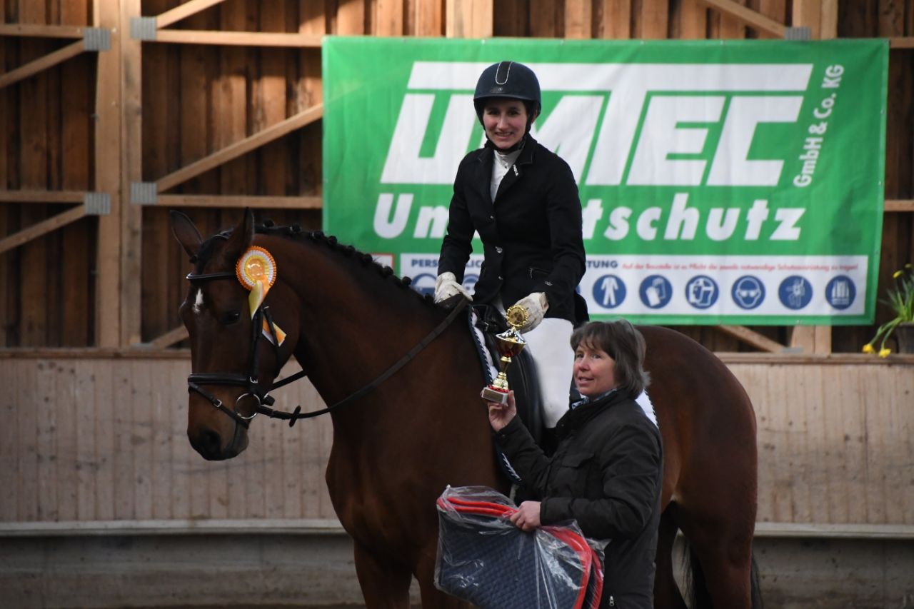 Belmondo Sieger Reitpferdeprüfung Hauenstein 2018