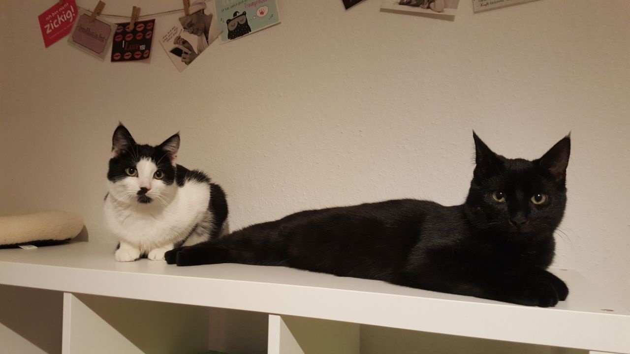 Mika und Felix