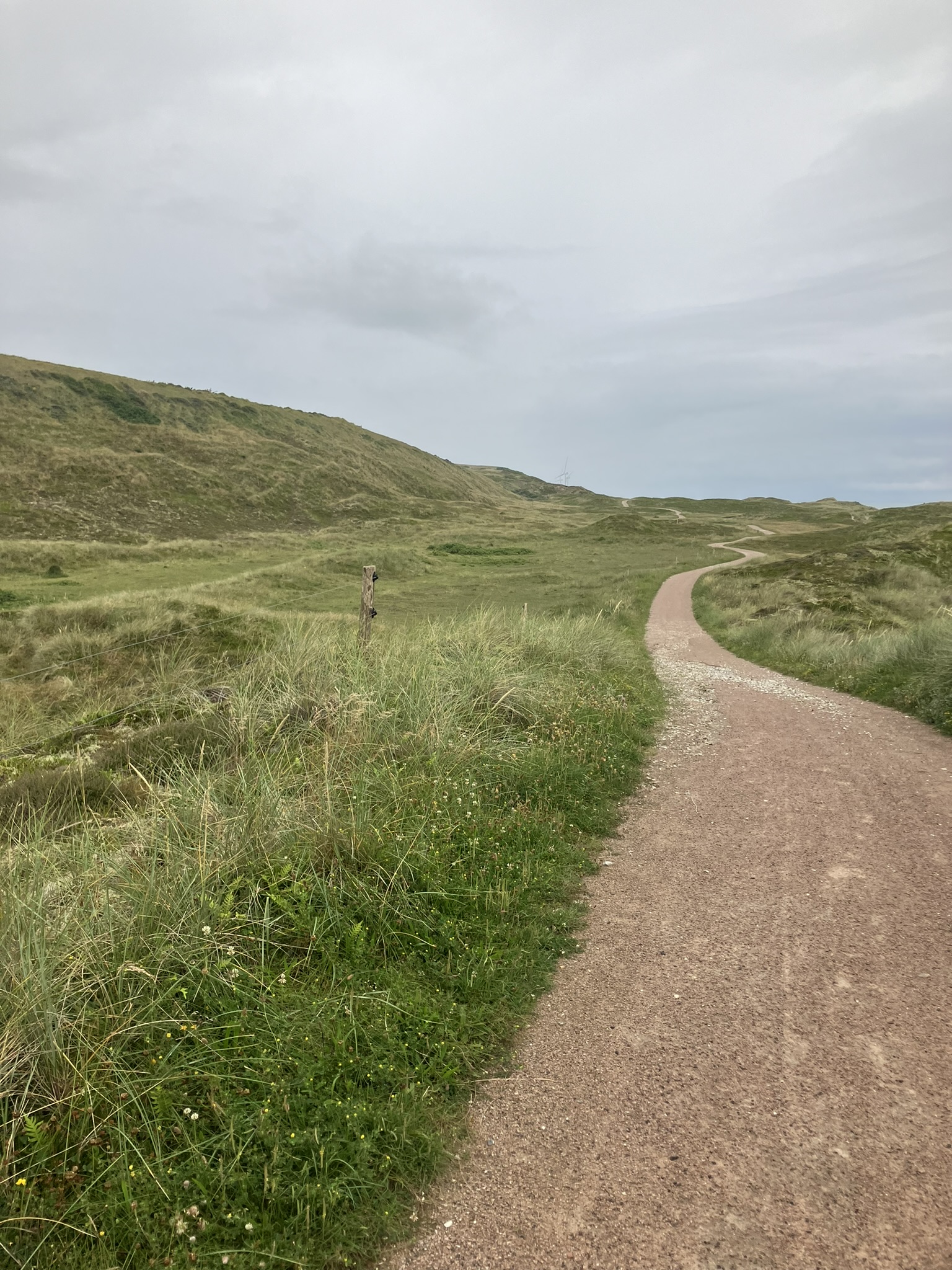 Bikepacking Dänemark - Geschwungener Schotterweg durch offene Dünenlandschaft in Dänemark unter bewölktem Himmel – ideale Gravel-Bikepacking-Route.