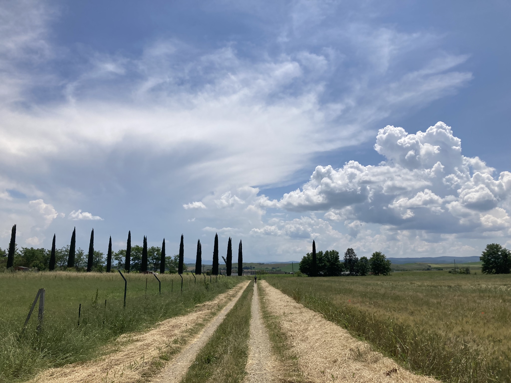 Bikepacking Italien - Langer Feldweg mit Zypressenreihe in der Toskana auf der Strecke von Rimini nach Livorno unter dramatischem Wolkenhimmel.