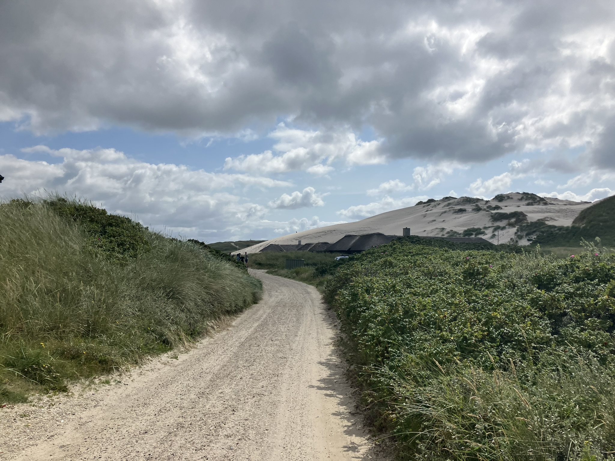 Bikepacking Dänemark - Schotterweg durch Dünenlandschaft bei Haurvig in Westjütland, sandiger Untergrund und Heide – typische Bikepacking-Strecke in Dänemark.