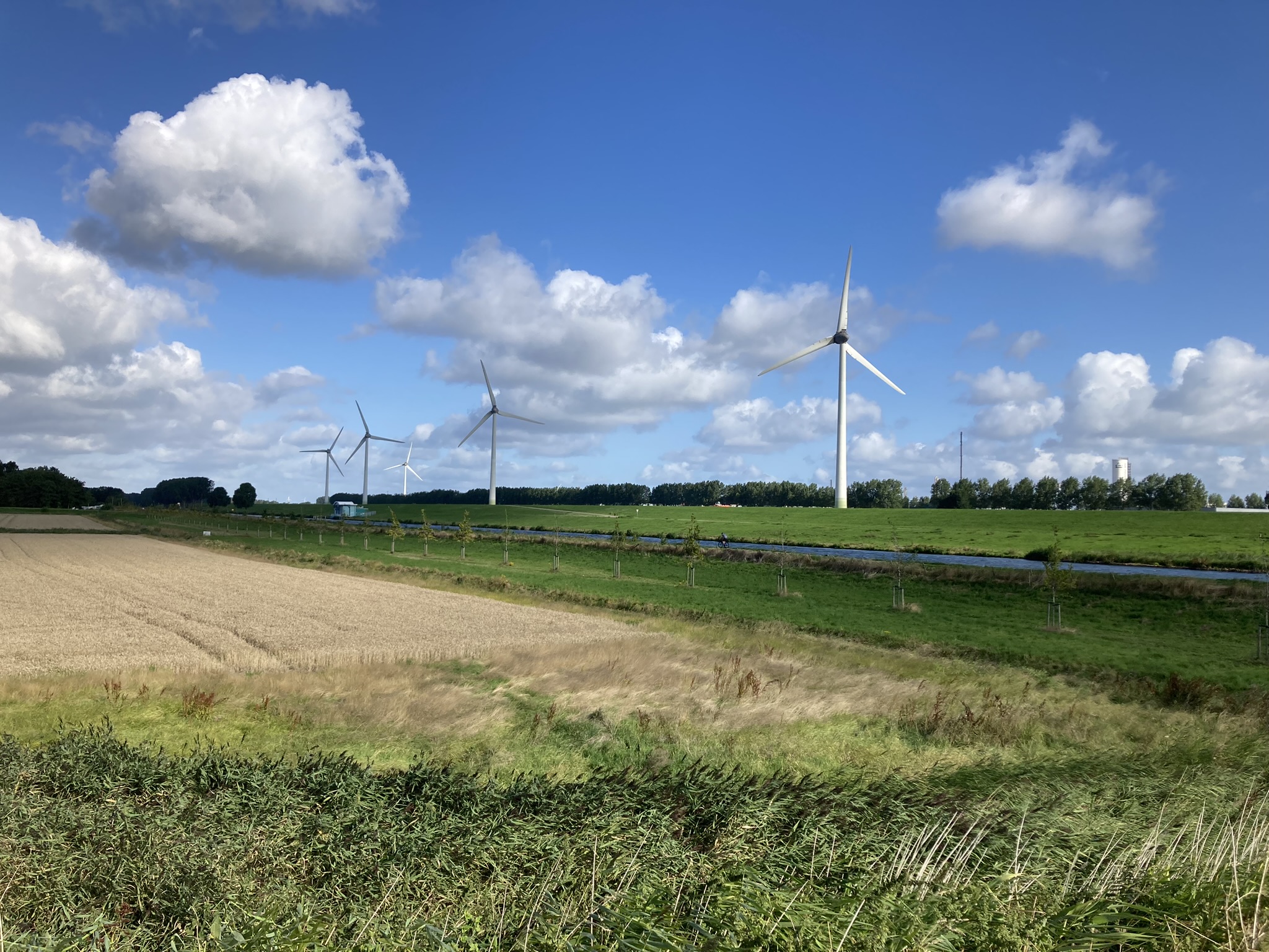 Bikepacking Niederlande - Windräder in niederländischer Polderlandschaft mit Radweg – nachhaltige Energie und flache Etappen auf der Bikepacking Rundreise Brielle Amsterdam.