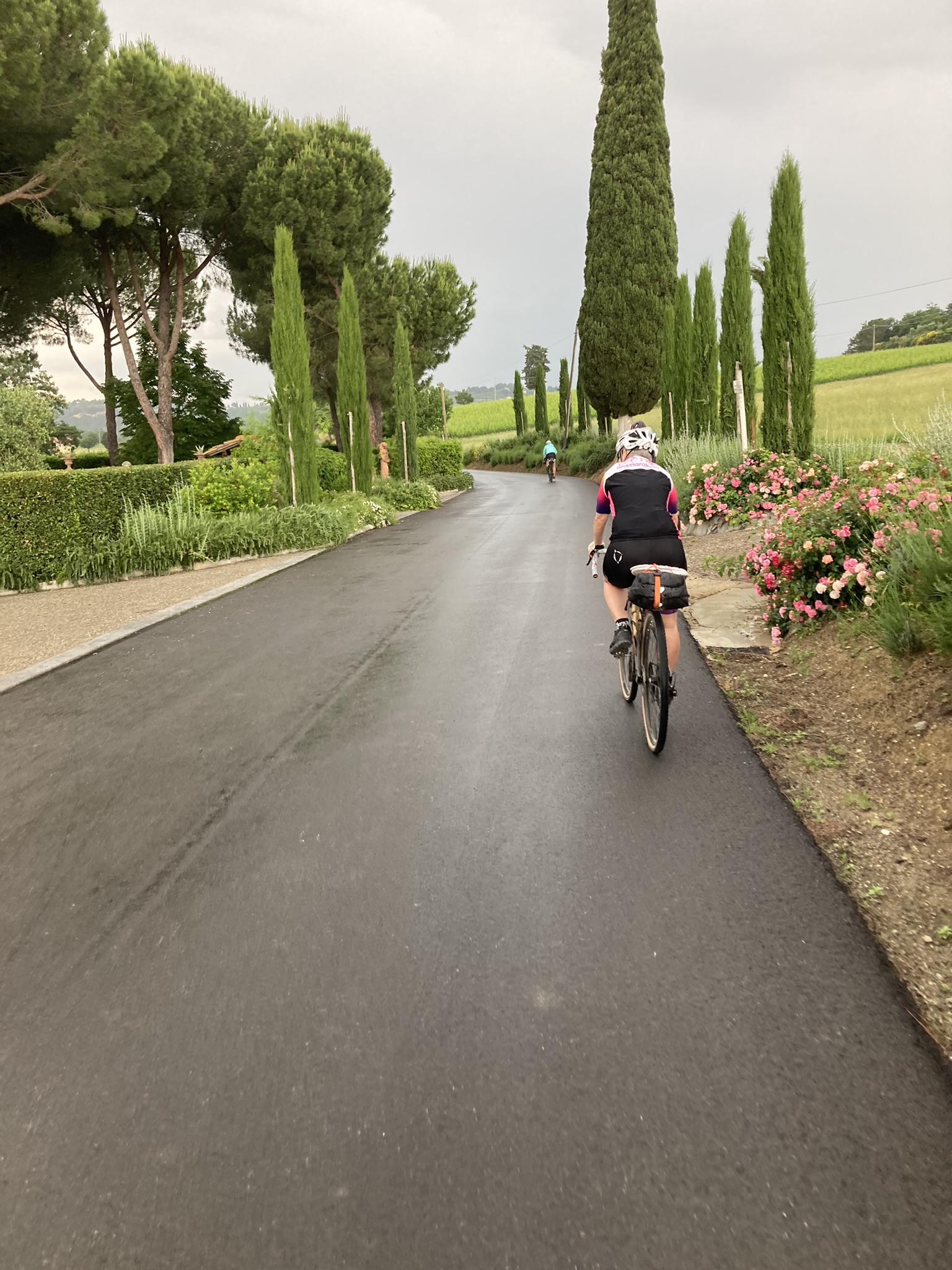 Bikepacking Italien - Toskana, nasse Asphaltstraße zwischen Zypressen und blühenden Gärten, aufgenommen während einer Gravel-Bikepacking-Etappe in Italien.