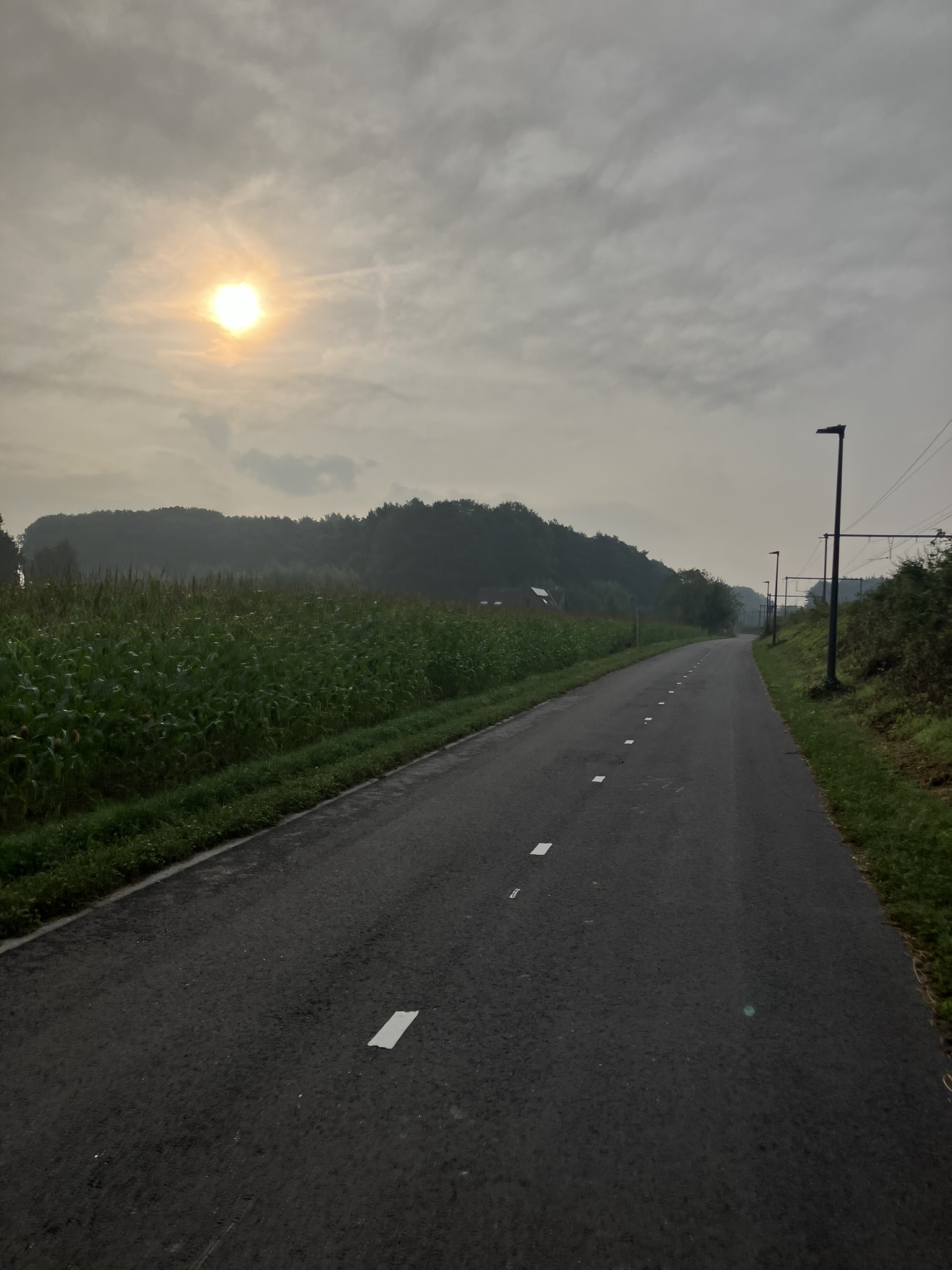 Bikepacking Belgien - Gerade Asphaltstraße in Belgien bei Sonnenaufgang, leichter Nebel über Maisfeldern und Bäumen am Horizont, ruhige ländliche Szenerie.