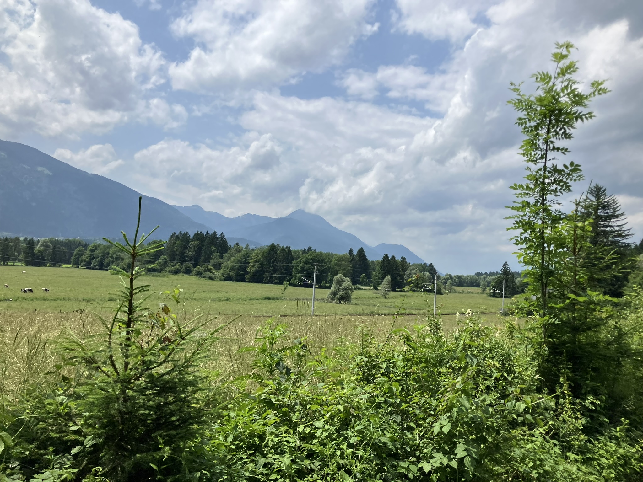 Bikepacking auf der Tour durch Kärnten, Österreich – weites Tal mit Wiesen, vereinzelten Kühen und Bahntrasse nahe der Schütt, Voralpenkulisse, sonnig mit Quellwolken.