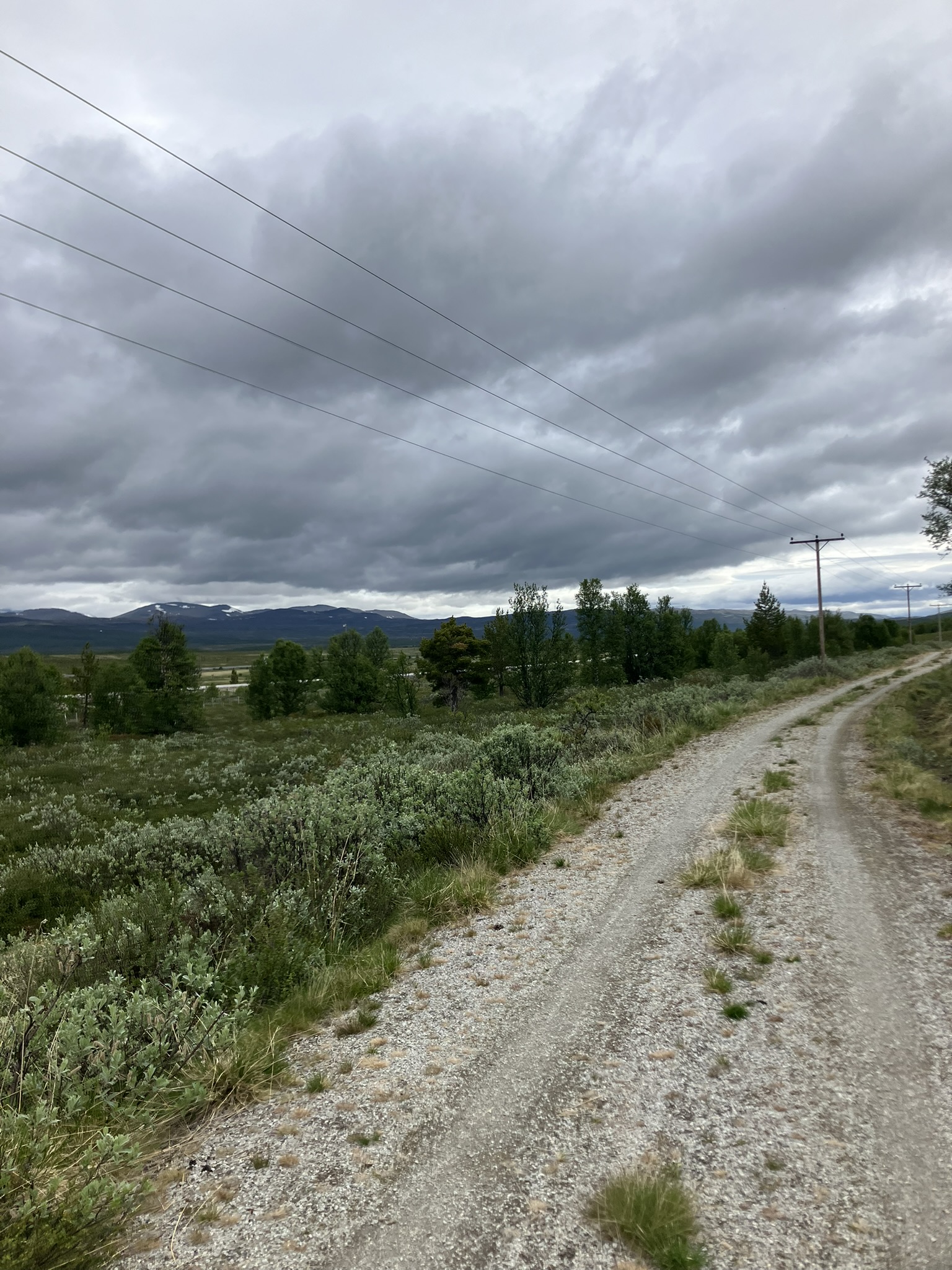 Bikepacking Schweden - Gravel-Etappe durch skandinavische Natur auf der Bikepacking-Tour von Stockholm nach Trondheim mit weiten Landschaften und ruhigen Schotterwegen