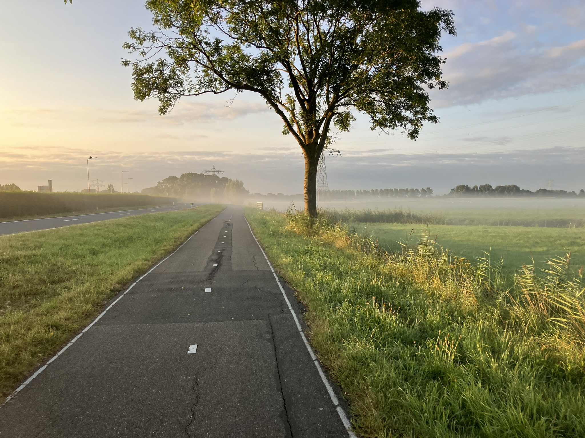 Bikepacking Niederlande bei Sonnenaufgang – asphaltierter Radweg durch weite Polderlandschaft zwischen Groningen und Amsterdam, Morgennebel über grünen Wiesen, ideale Bedingungen für eine Radreise in Holland.