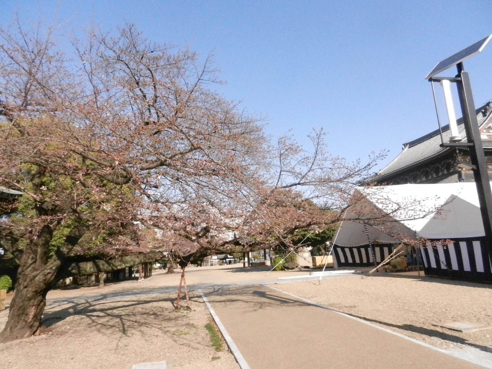 25日右側