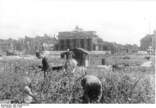 Sogar vor dem Brandenburger Tor wurde in der Nachkriegszeit Gemüse angebaut. Für Hannover war leider kein vergleichbares Bild zu finden.