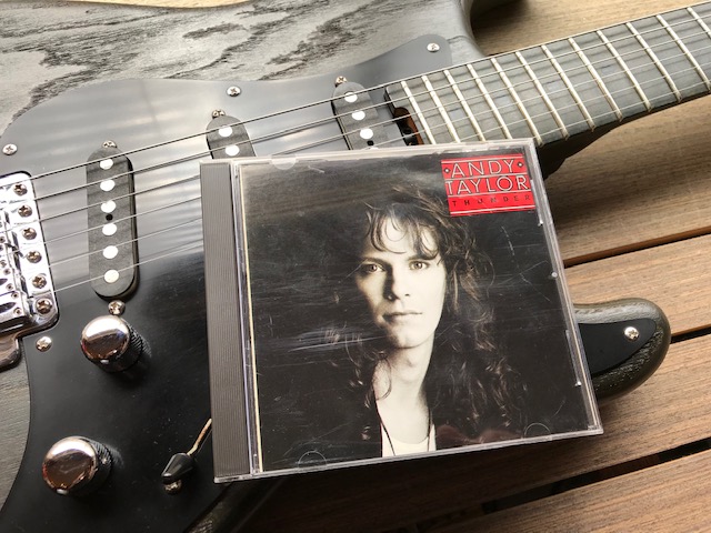 Andy Taylor アンディ・テイラー デンジャラス ファンクラブ