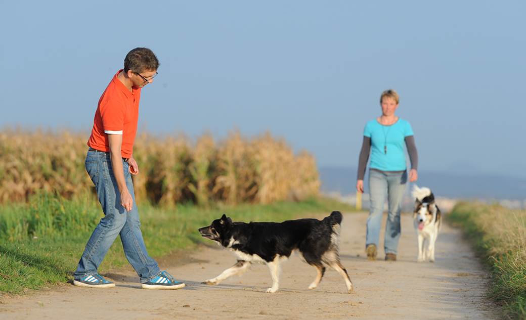 Mel Koring Hundetrainer - Hundeschule Stuttgart