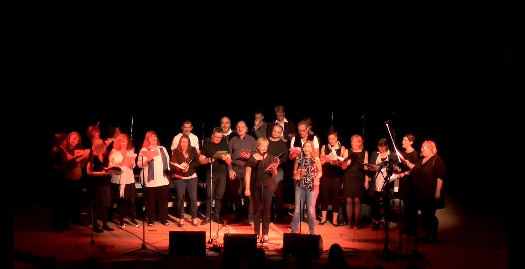 Bei den Single Singers, Acappellica Hamburg 2014.