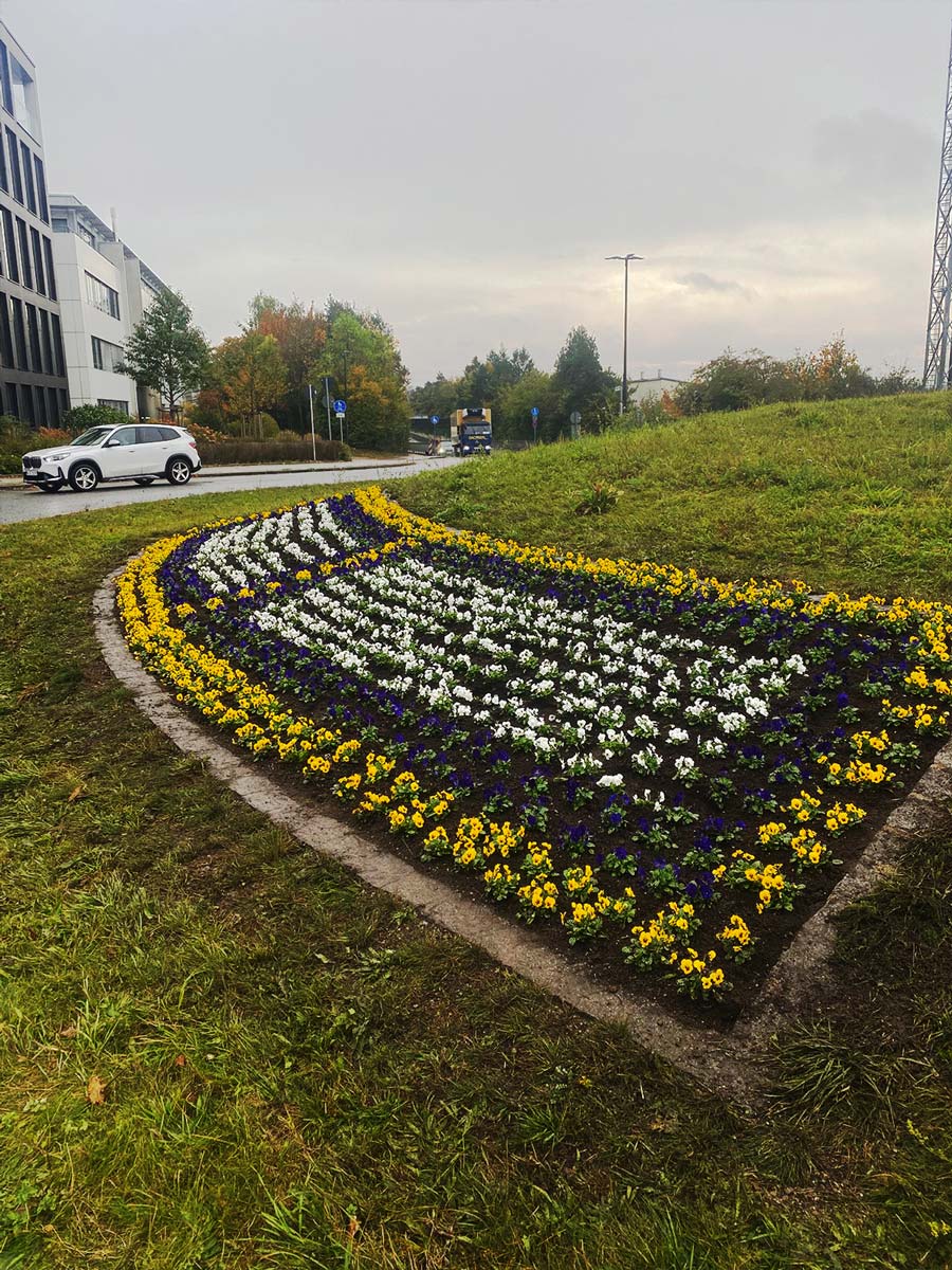 Saisonale Bepflanzung von öffentlichen Flächen