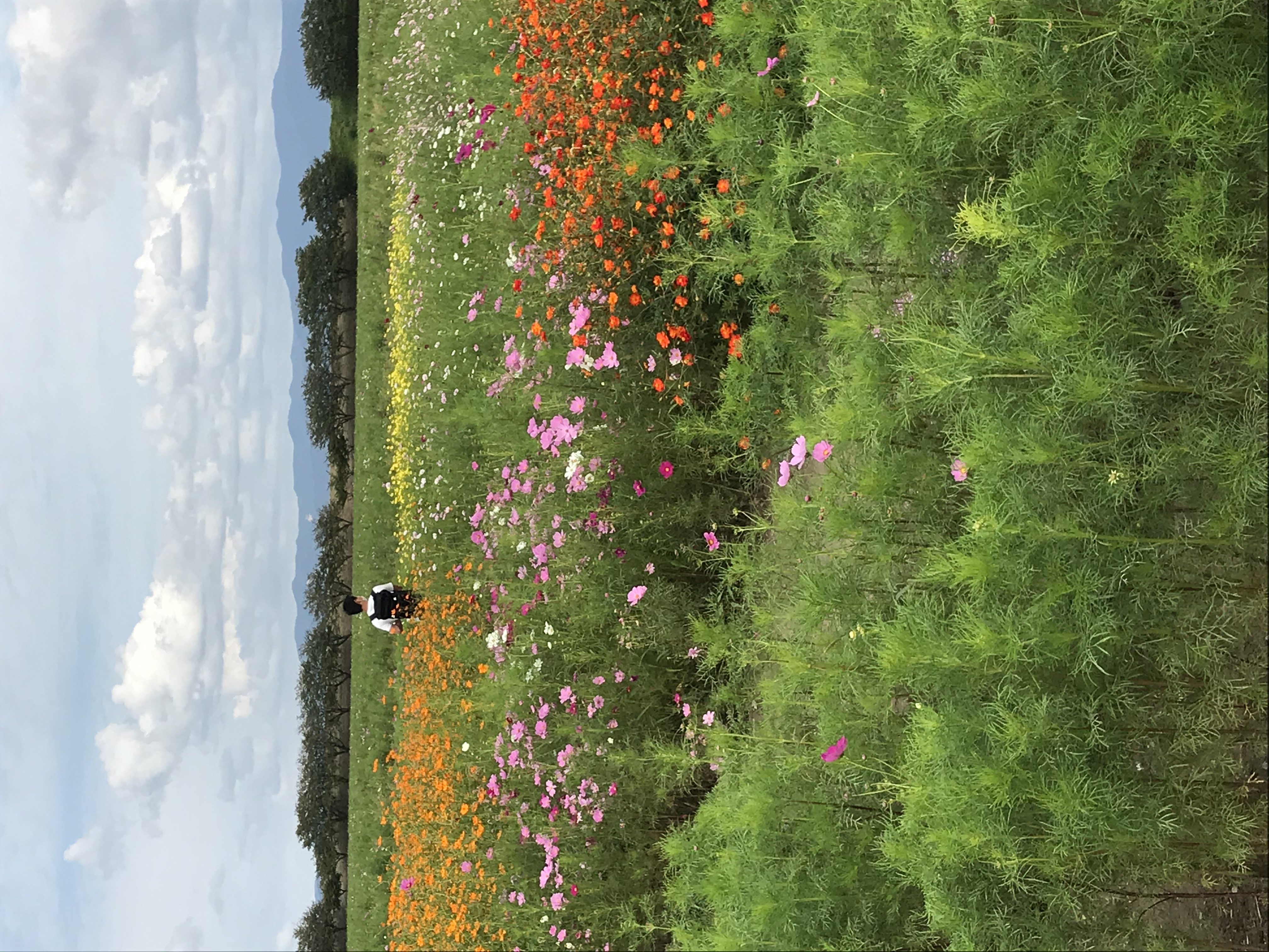 宮ノ下公民館