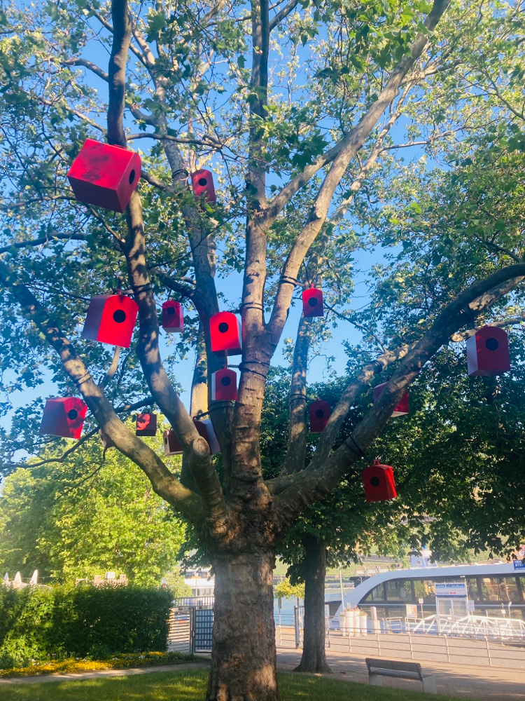 Kunst in den Bäumen am Rheinufer in Bingen