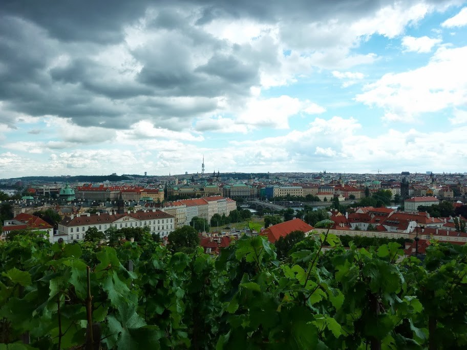 Vignes de Prague