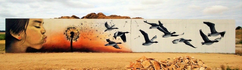 fresque street art l'envol à Bissey-la-Côte par l'artiste peintre Coron Thibaud