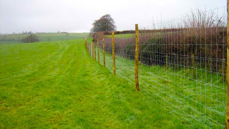Tall post and metal mesh deer fence designed to keep deer out of protected land.