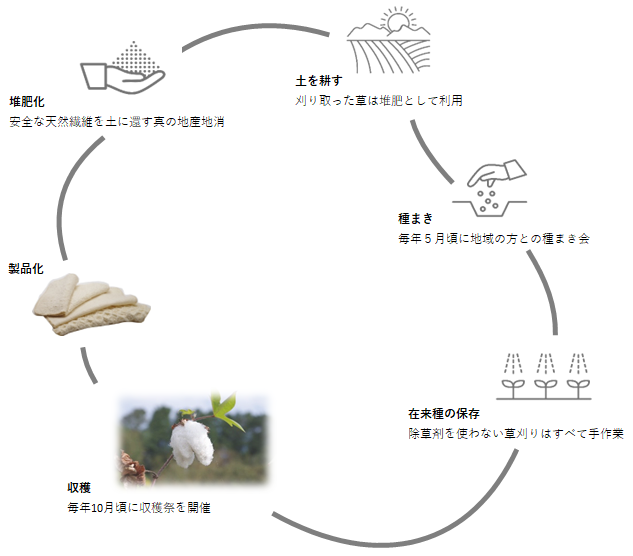 コミュニティー 健康 食べる 着る 作る 仕組み 価値 土 土づくり 耕す 還る 環境　製品 推肥化 在来種 日本 古民家 リノベーション リノベ 憩い 協力 笑顔 国産 日本産 ジャパニーズコットン  SDGs  純和綿farm 地産地消 次世代 繋ぐ 繊維の自給 有機農業 体感 ふわふわ 綿 手織り コットン 衣服 布製品 糸から布 暮らし 和綿とは ベージュ 種類 柔らかい 肌触り おすすめ ギフト 人気 寝るとき ガーゼ ワッフル アトピー タオル 洗い方 体拭く かわいい 誕生日ハンカチ生産地