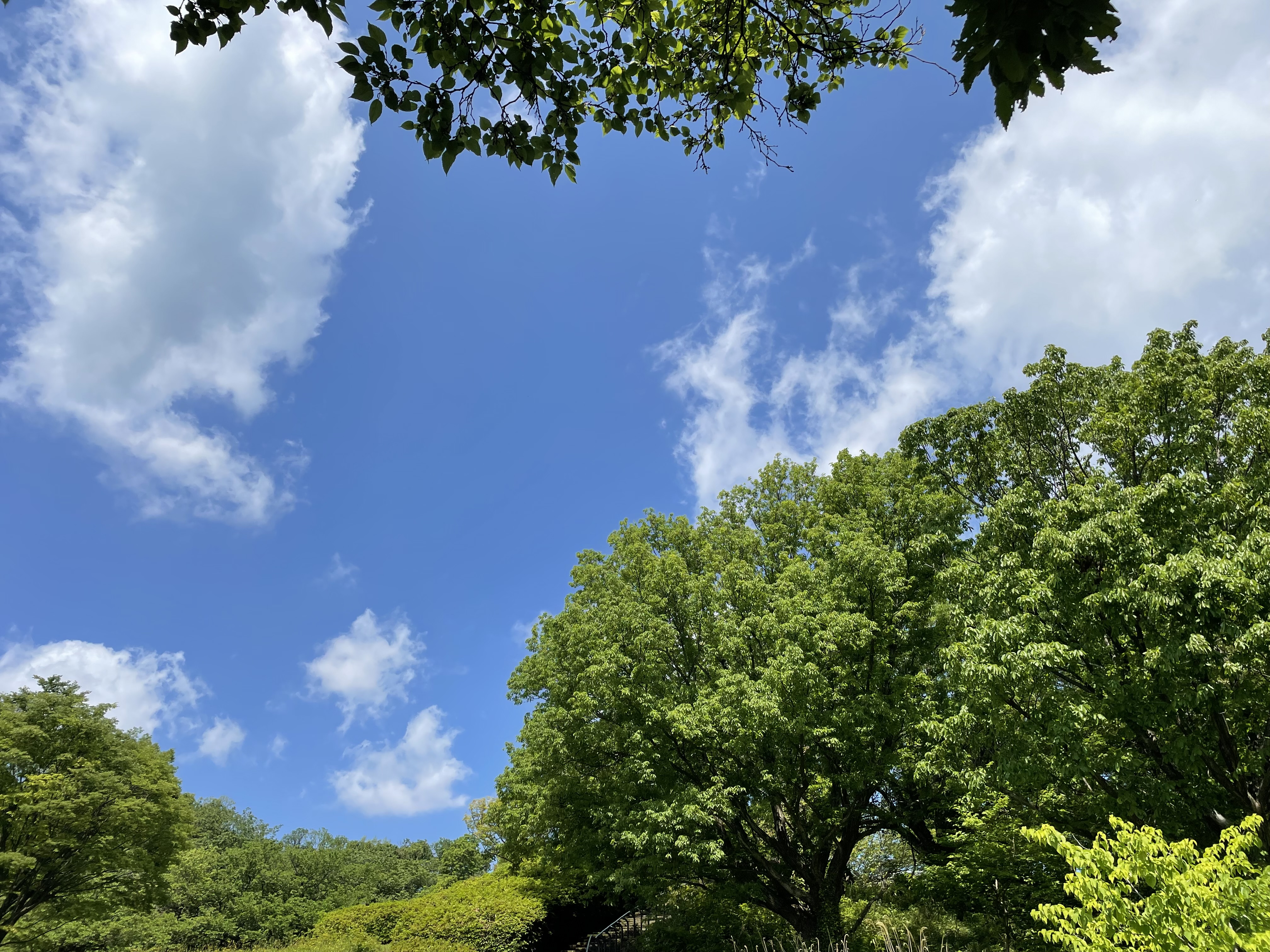 有限会社装伸フロアー