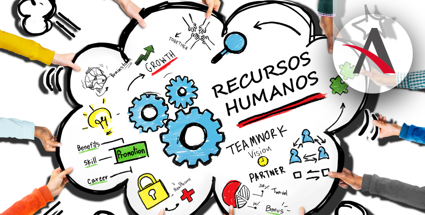 ▷ 10 Funciones básicas de los Recursos Humanos