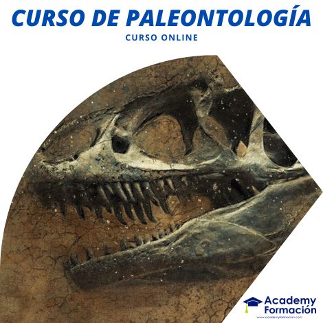 curso de paleontología