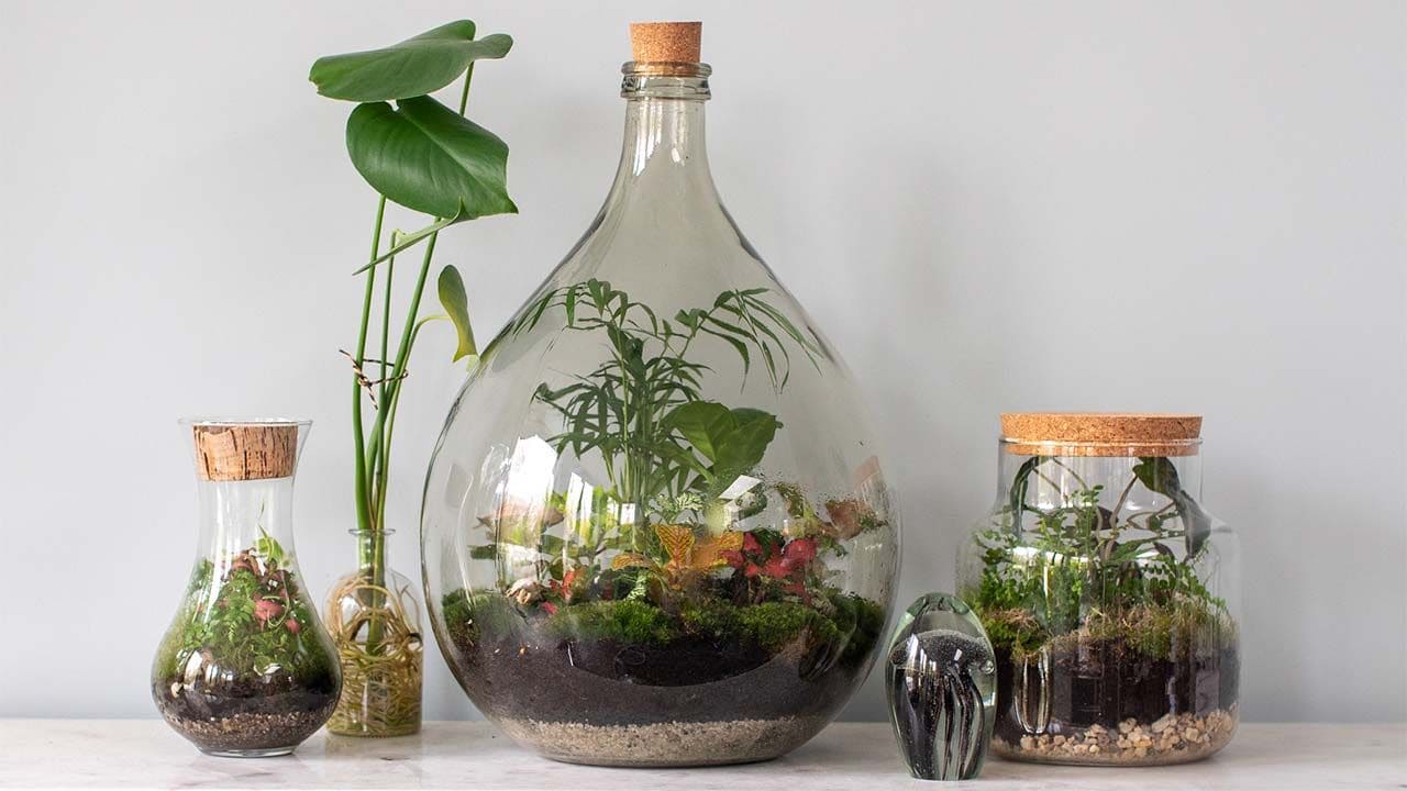 ▷ ¿Cómo hacer un jardín eterno en una botella?