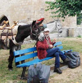 randonnée avec un âne limousin