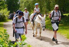 rando âne dans le parc naturel de millevaches