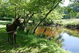 Fête du bassin versant