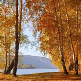 vacances à la ferme à Vassivière en limousin