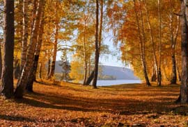 L'automne à Vassivière : une pause pour se retrouver