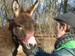 randonner avec un âne dans le massif-central