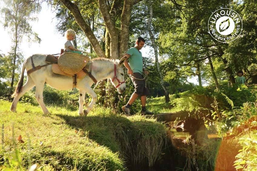 vacances-ferme-gite-yourte-rando-ane