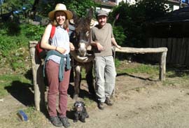 Avis clients ferme des Ânes de Vassivière : témoignages authentiques et expérience nature