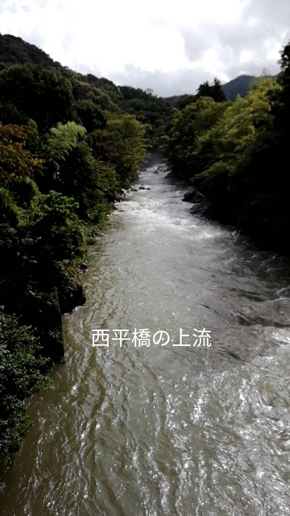すぐったレディース福袋 9月1日(日)の狩野川の様子 - 狩野川漁業協同組合 タウン・グルメ情報