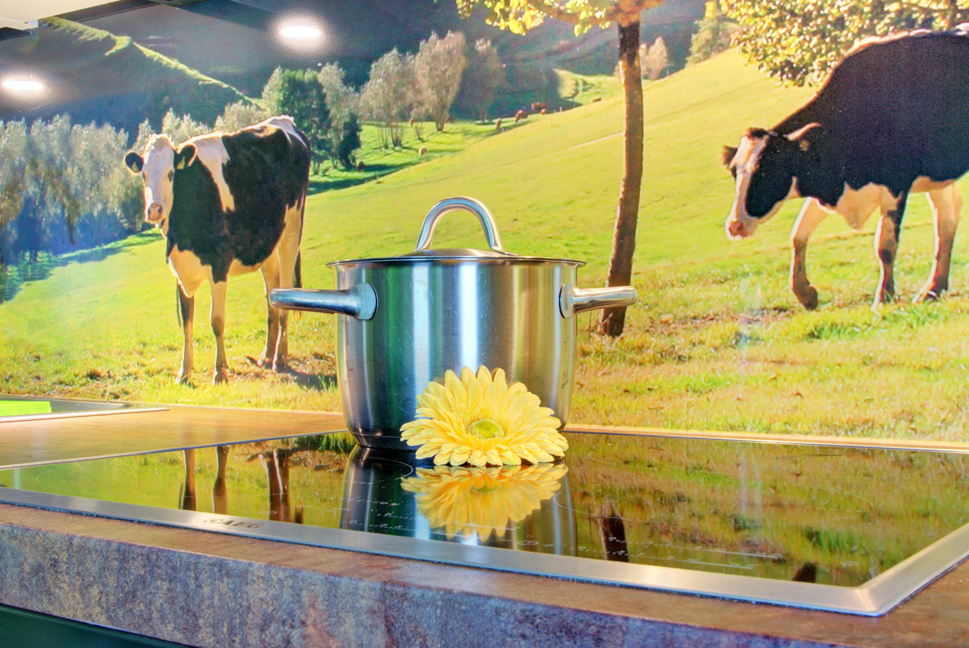 ceranherd mit kochtopf und gerbara in Ferienwohnung