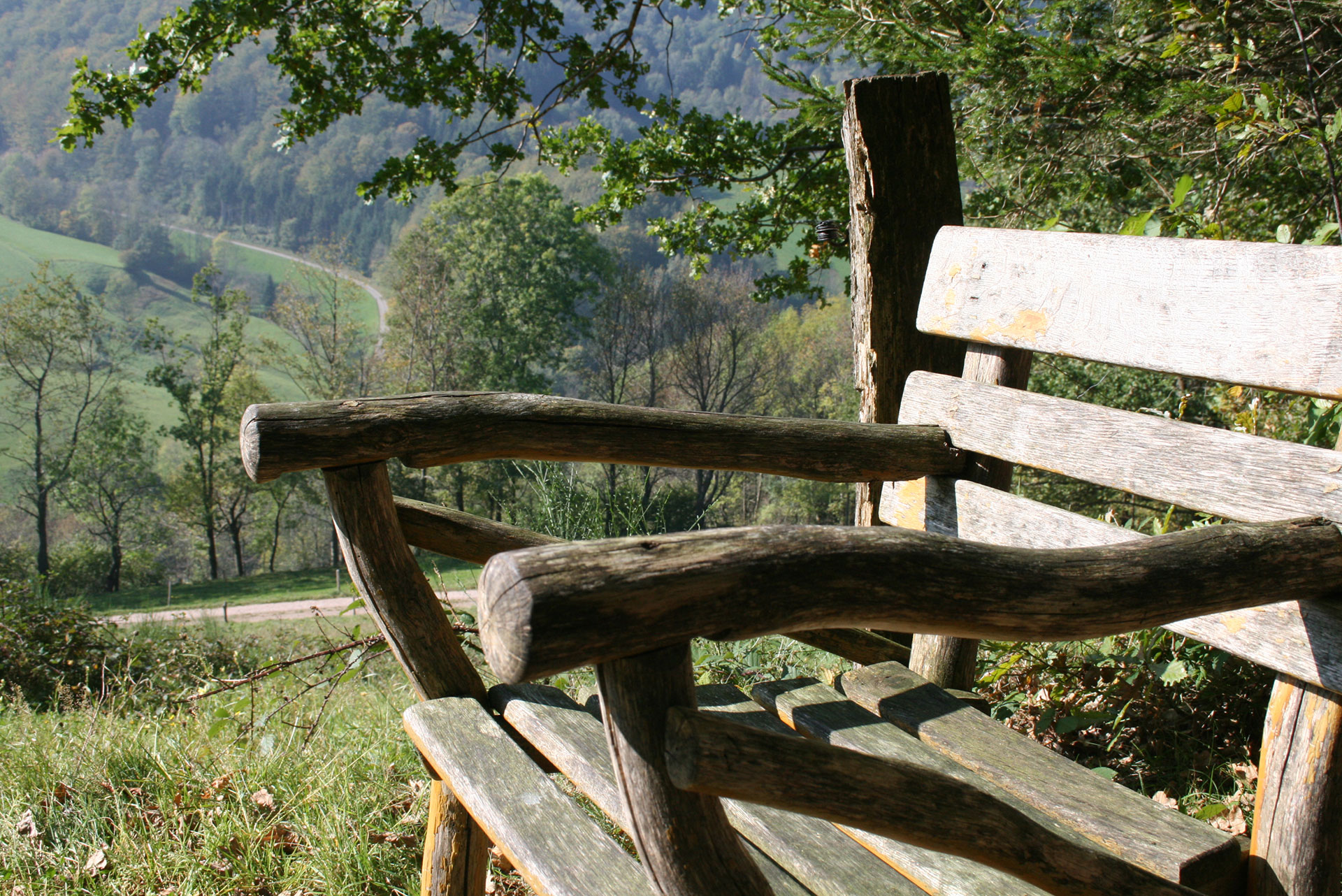 foto verbessern wanderbank dunkel vorher