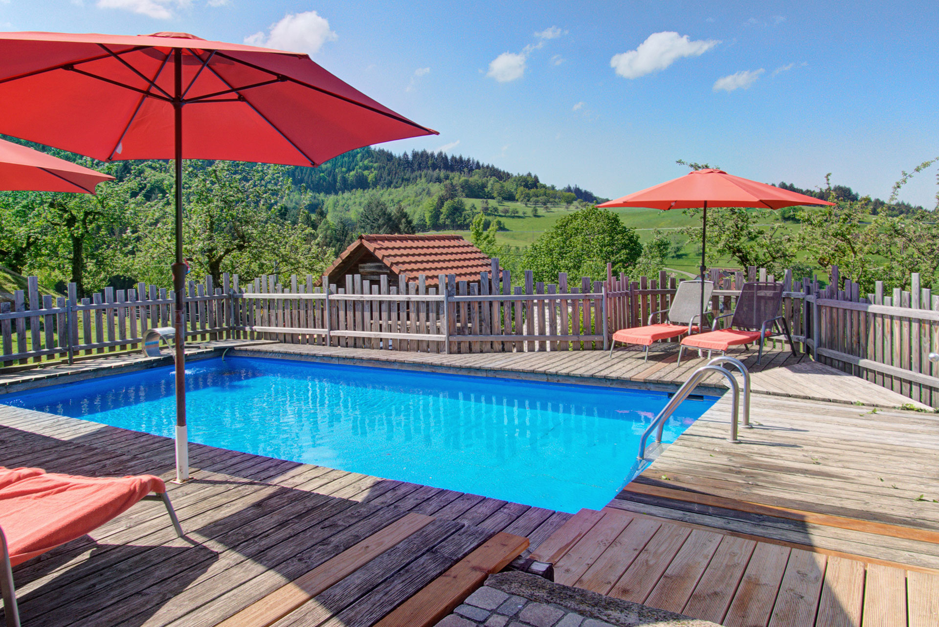 ferienhof foto swimmingpool mit sonnenschirmen