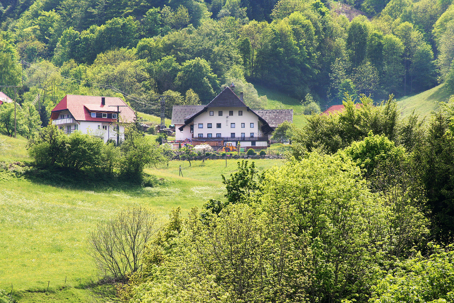 foto verbessern ferienhof nachher klar mit mehr kontrast