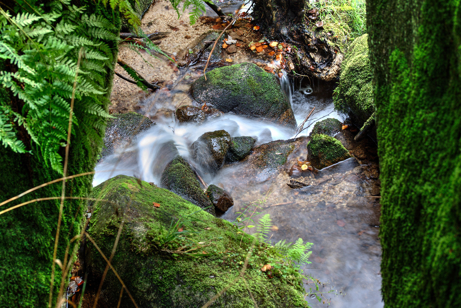 4 Gertelbacher Wasserfälle