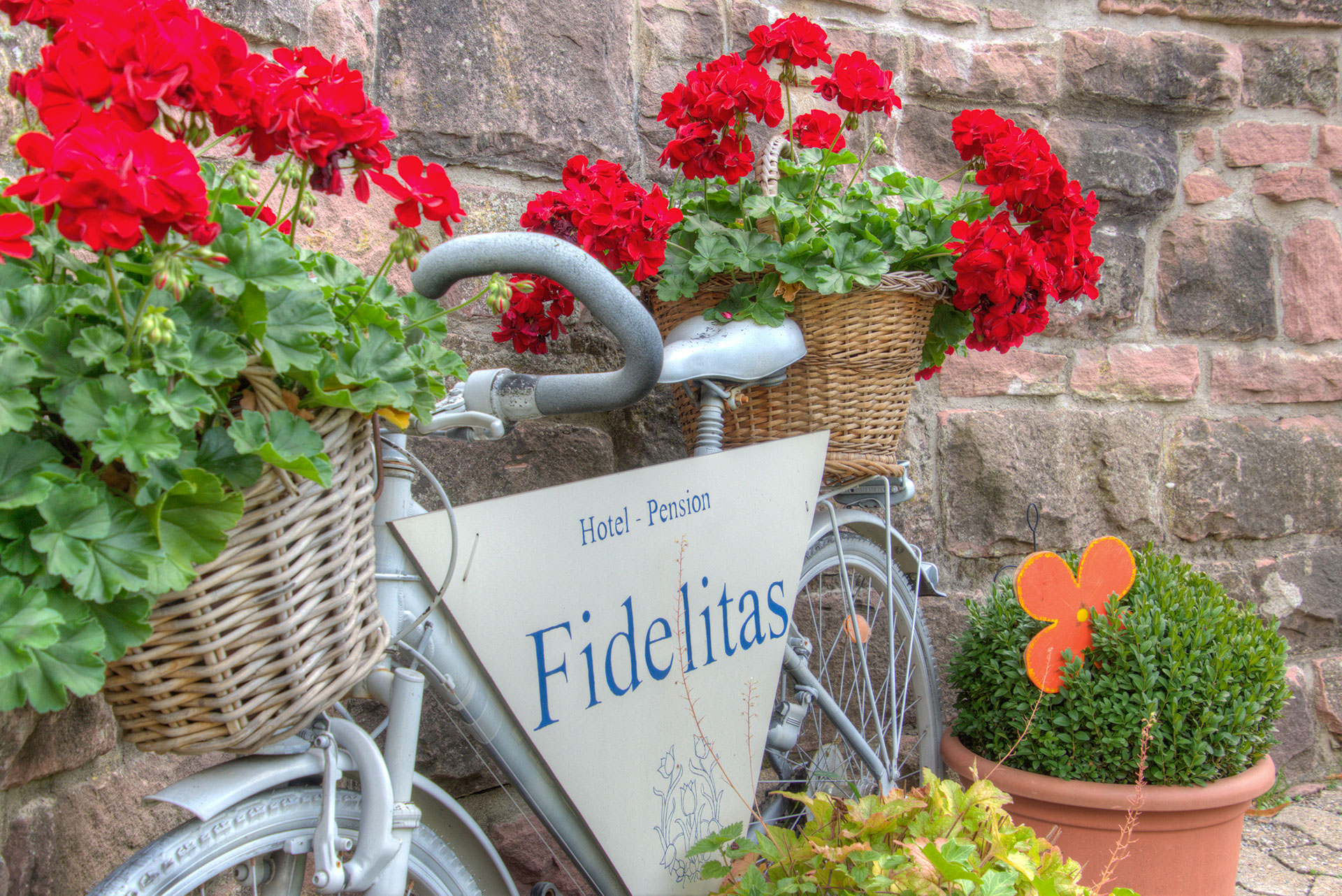 hotelfoto fahrrad mit geranienblumen in koerben