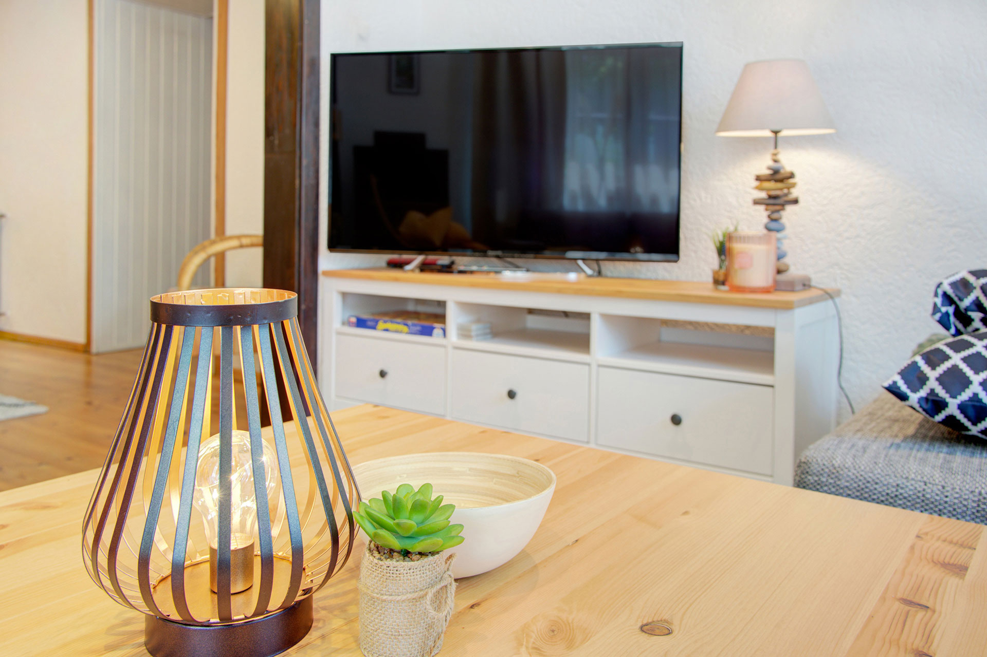 blick von sofa zu TV mit teelicht und grünpflanze im vordergrund in ferienhaus