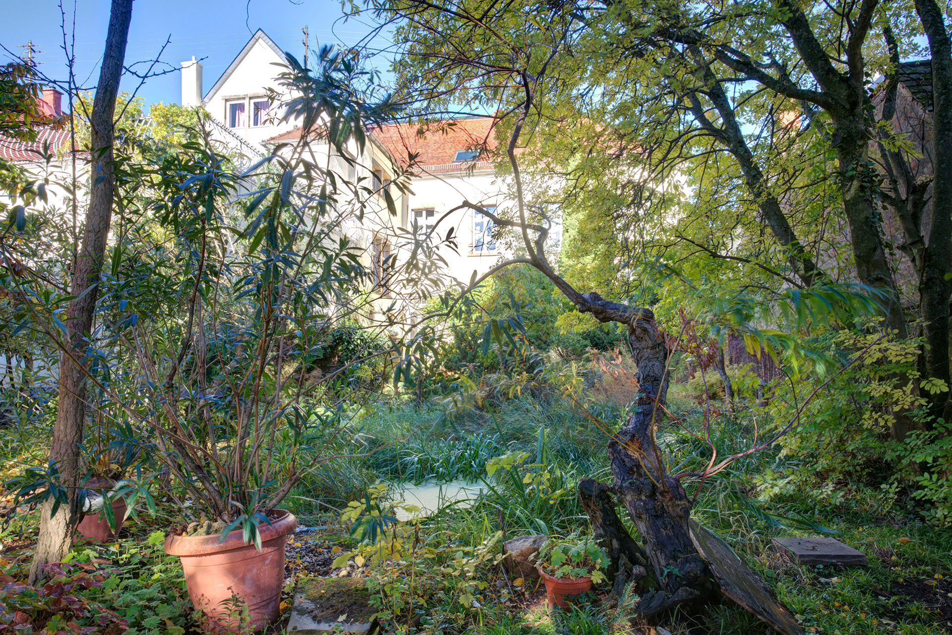 wilder garten der grossen villa