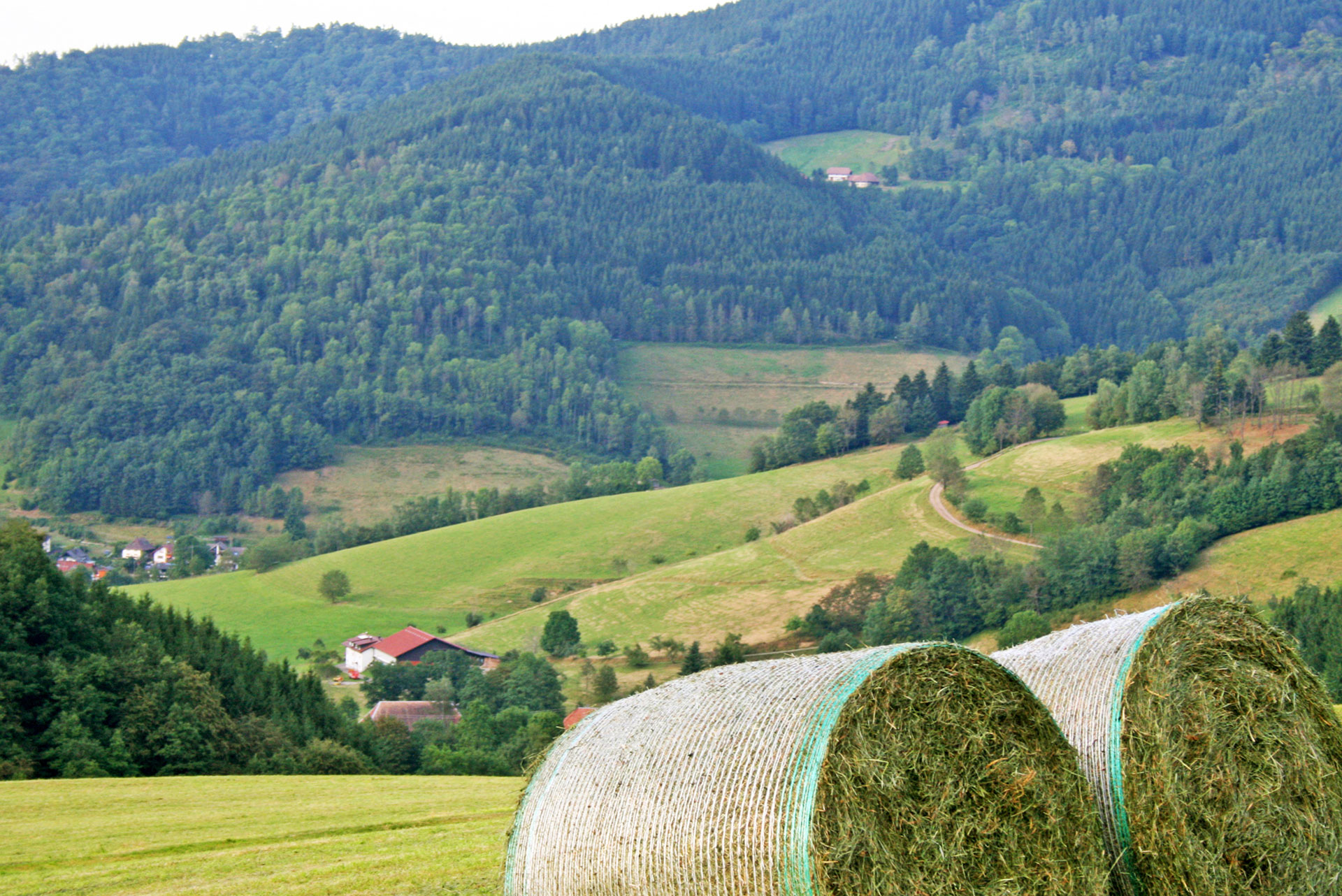 foto verbessern heuballen hell und freundlich nachher