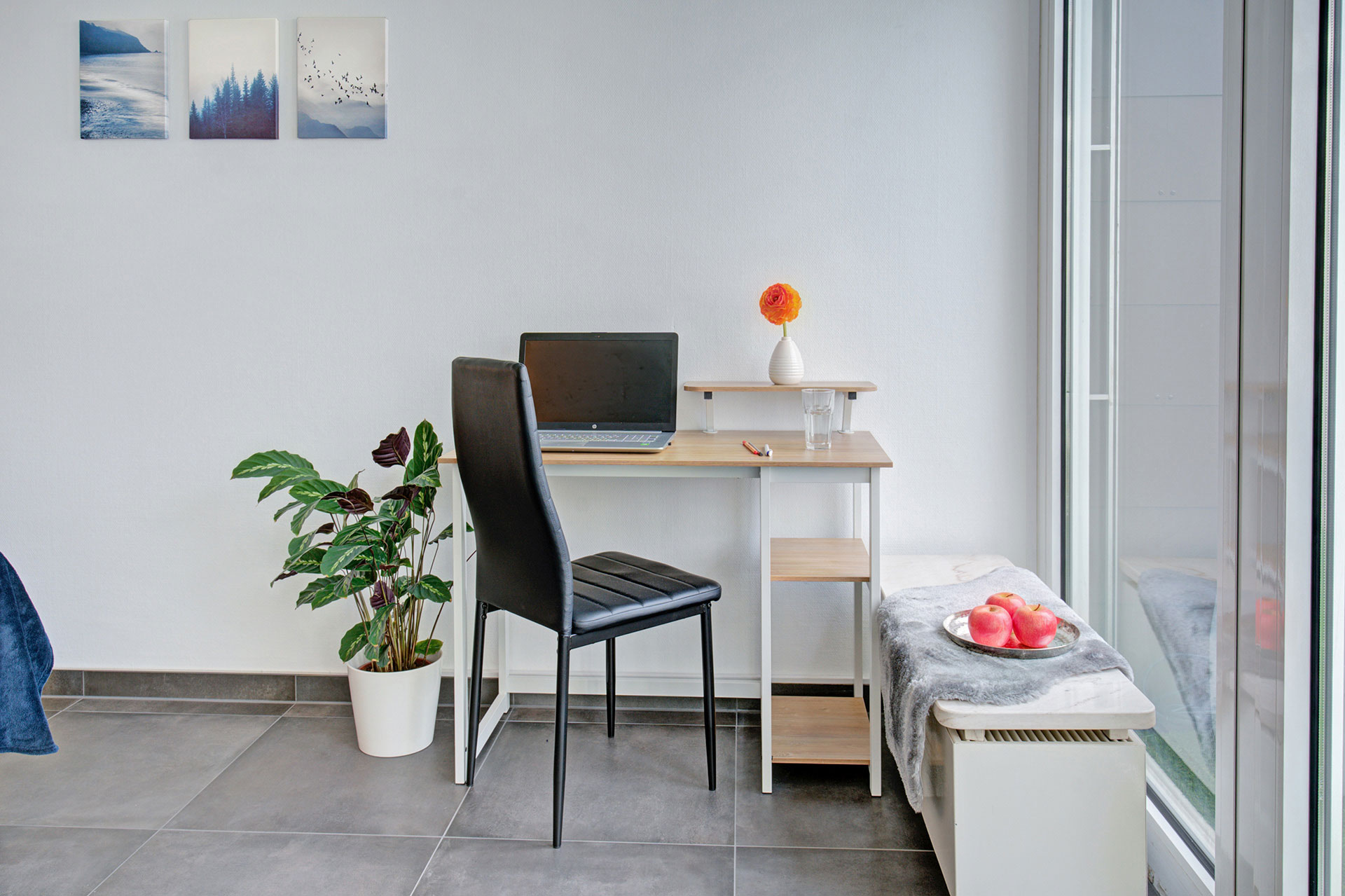 moderner arbeitsbereich mit pflanze und regalarbeitstisch am panoramafenster